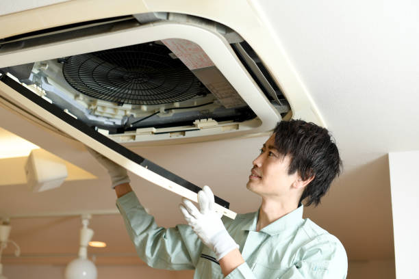 Best Local Air Duct Cleaning Services  in Tornado, WV