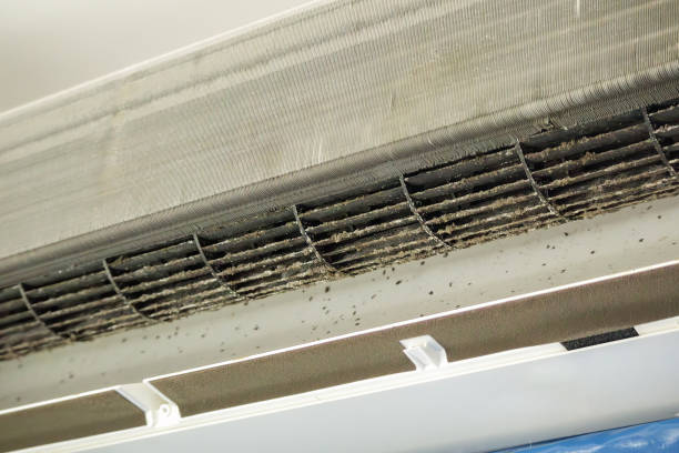 Best Air Duct Cleaning Near Me  in Tornado, WV